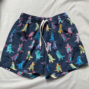 Men's Chubbies Swim Shorts